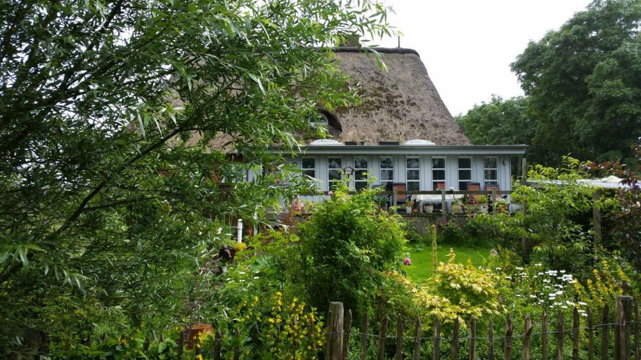Michaela von Holdt Traumatherapie