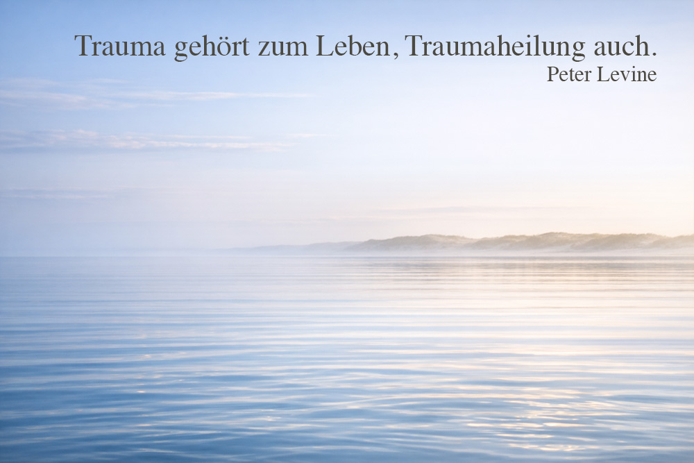 Trauma und Traumaheilung